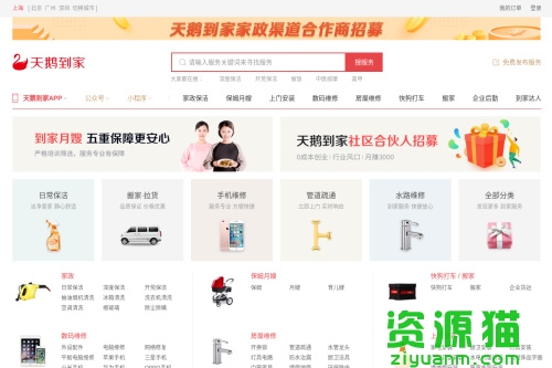 天鹅到家